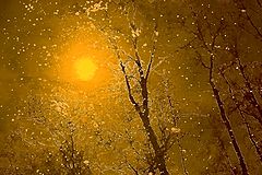 photo "***"