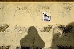 фото "***"