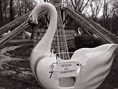photo "***"