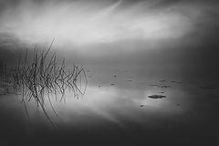 фото "Вразлёт"