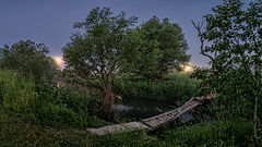 photo "***"