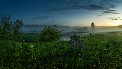 photo "***"