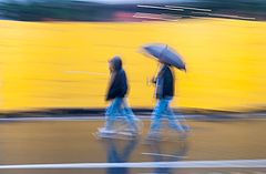photo "***"