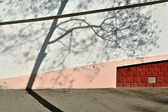 фото "***"