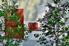 фото "***"