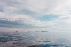 фото "Белое море"