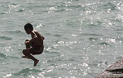 фото "summer"