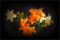 photo "***"