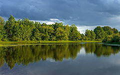 photo "***"