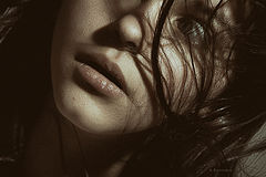 photo "Krivitskiy"