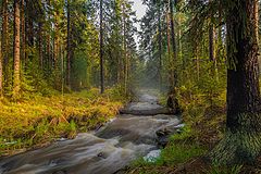 фото "Вечер после дождя"