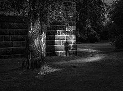 photo "***"