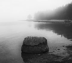 photo "***"