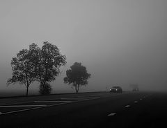 фото "31 08 2018"