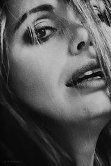photo "Krivitskiy"