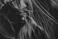 photo "Krivitskiy"