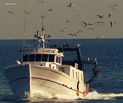 фото "on the sea"