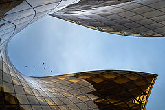 photo "Птицы..."