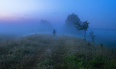 photo "***"
