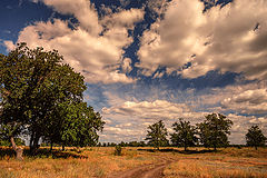 photo "***"