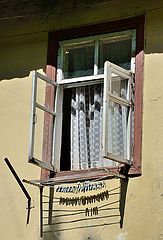 фото "***"