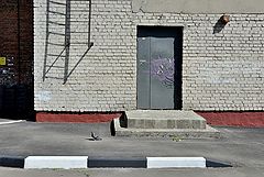 фото "***"