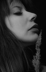 photo "Krivitskiy"