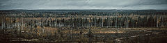 photo "осенняя пустошь"