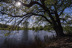 photo "***"