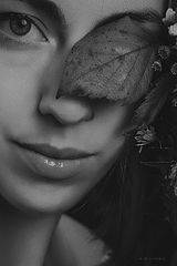 photo "Krivitskiy"