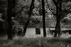 photo "***"