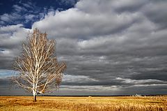 фото "Дыхание осени"