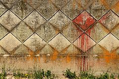 фото "***"