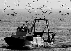 фото "fishermen: coming back home"