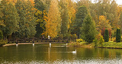 photo "***"