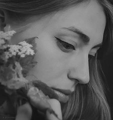 photo "Krivitskiy"