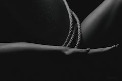 photo "Krivitskiy"