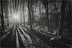 photo "***"