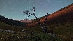 photo "***"