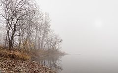 photo "***"