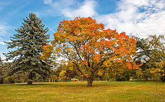 photo "***"