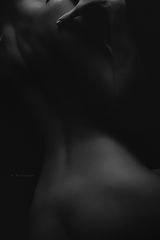 photo "Krivitskiy"