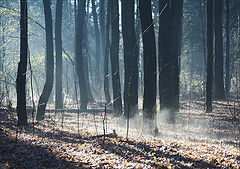photo "***"
