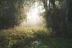 photo "***"