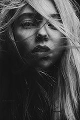 photo "Krivitskiy"