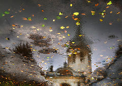photo "***"