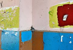фото "***"
