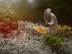 photo "***"