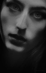 photo "Krivitskiy"
