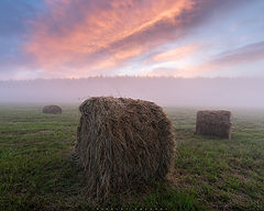 photo "Foggy sunrise / 0226_0430"